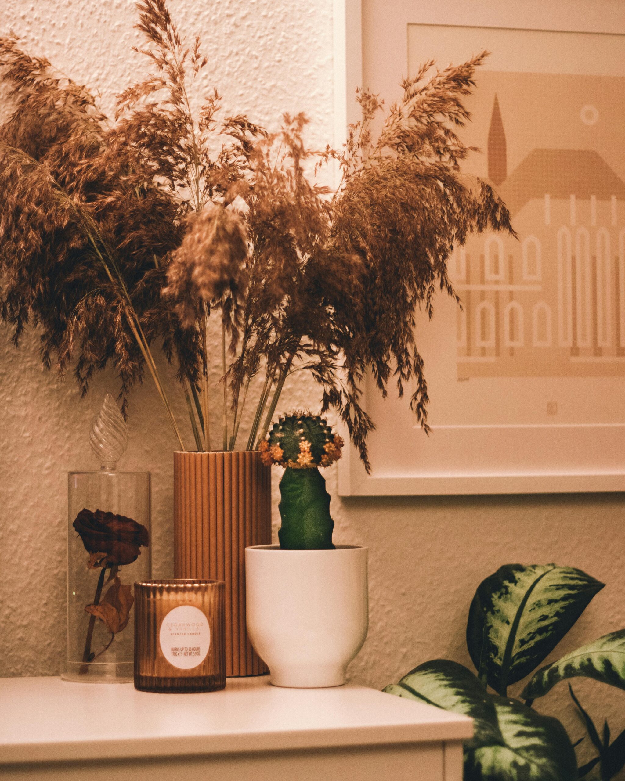 Warm and inviting boho-style interior featuring pampas grass, cactus, and soft neutral tones.